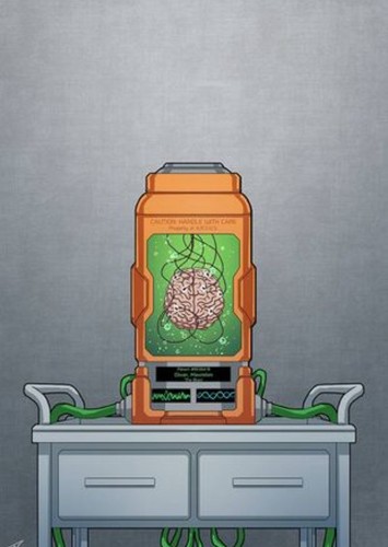 The Brain