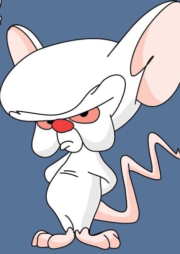 The Brain