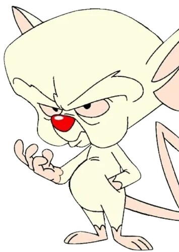 The Brain
