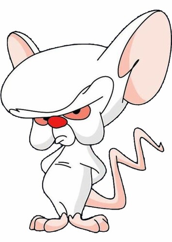 The Brain