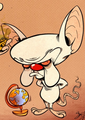 The Brain