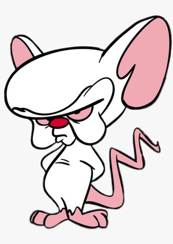 The Brain