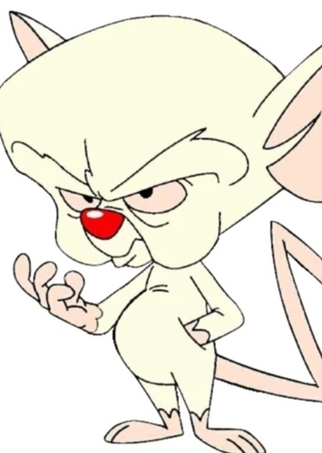 The Brain