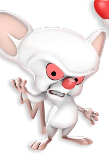 The Brain