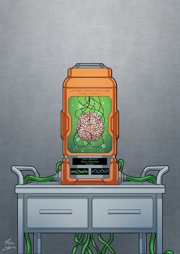 The Brain