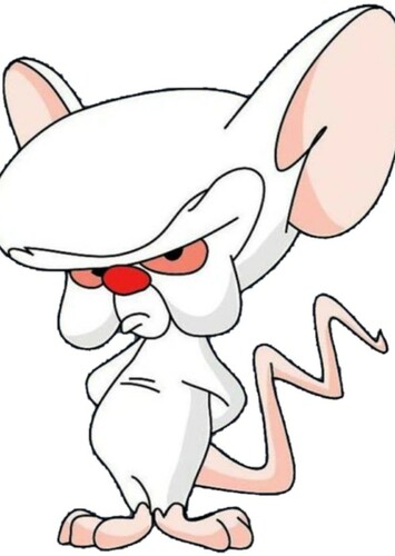 The Brain