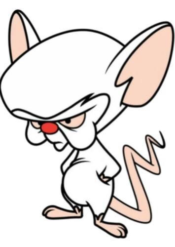 The Brain