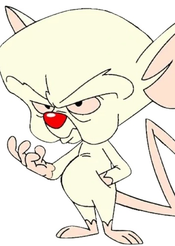 the Brain