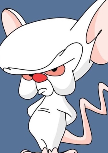 The Brain