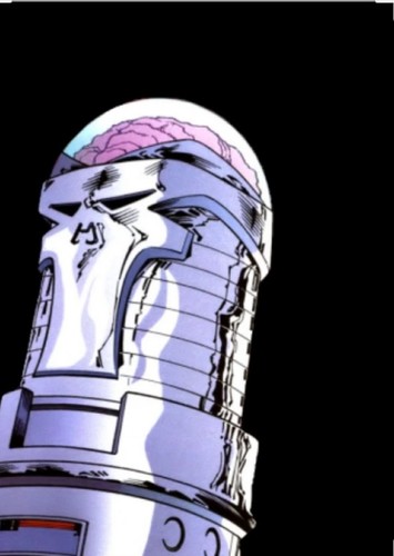 The Brain
