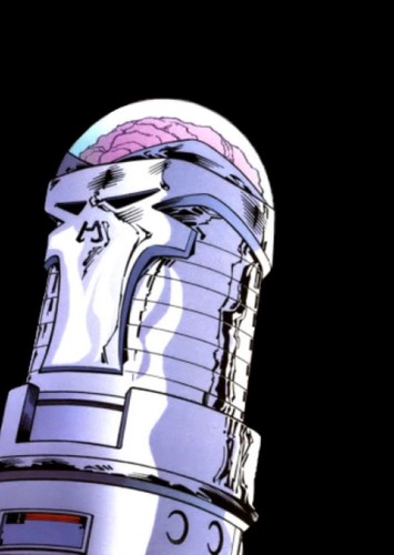 The Brain