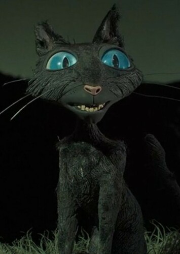 The Cat