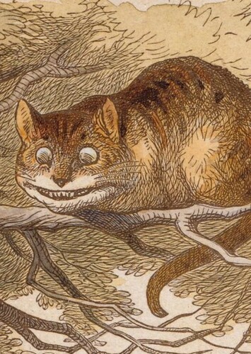 The Cheshire Cat