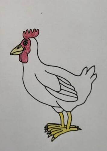 The chickens