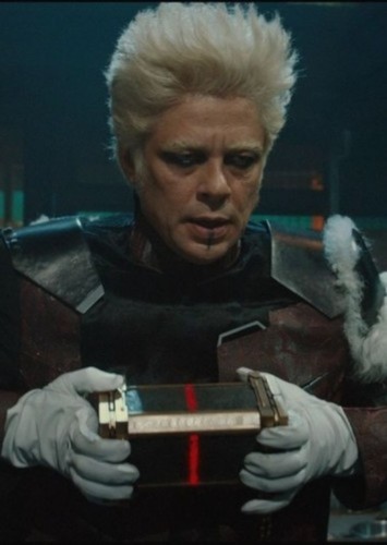 The Collector