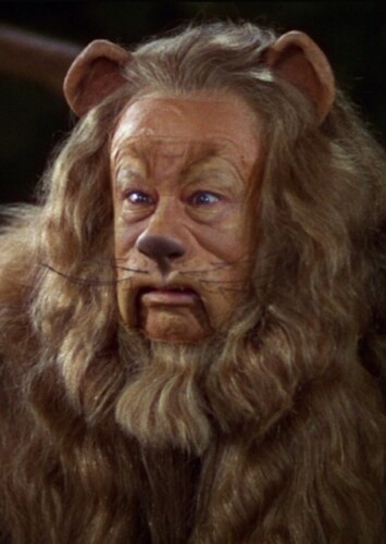The cowardly lion