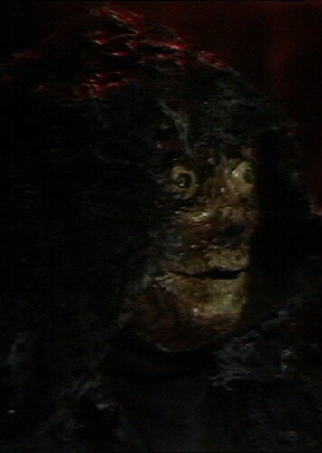 The Decayed Master