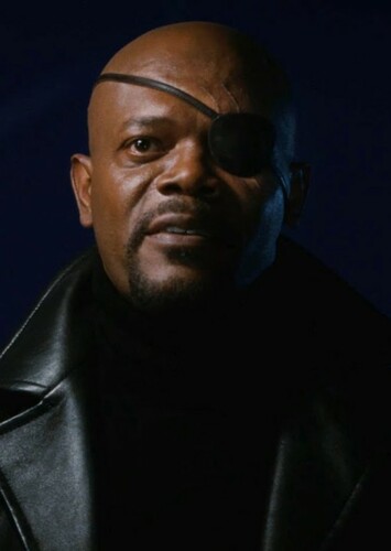 "The Director of S.H.I.E.L.D."