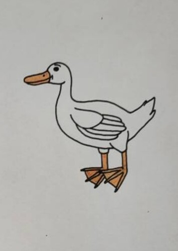 The ducks