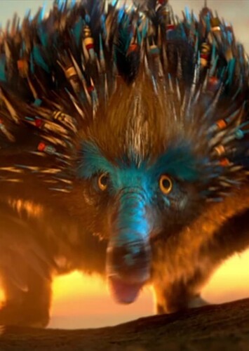 The Echidna
