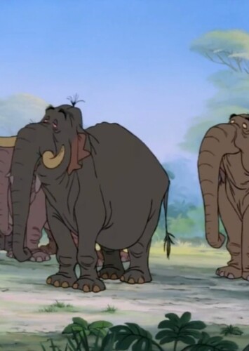 The Elephants