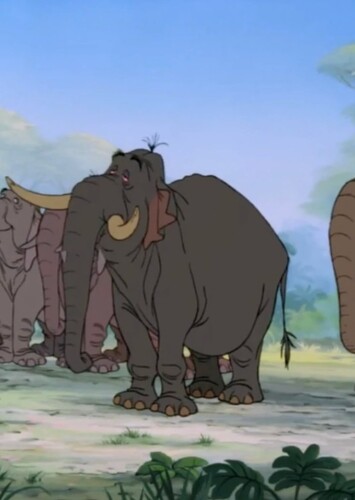 The Elephants