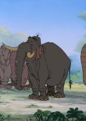The Elephants