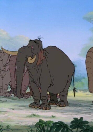 The Elephants