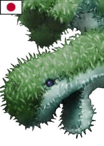 "The Ever-Growing One" (Japanese)