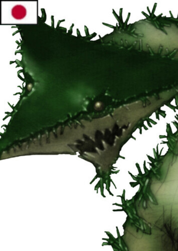 "The Extending One" (Japanese)