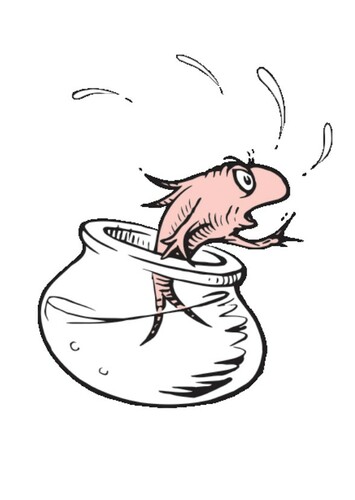 The Fish