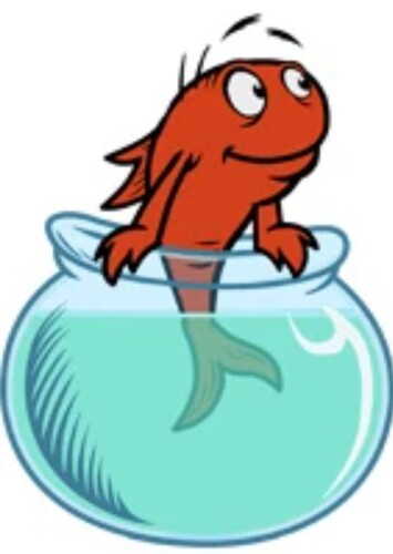 The Fish