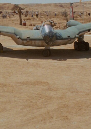 The Flying Wing