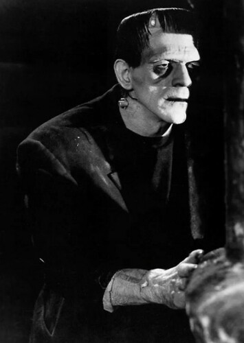 The Frankenstein Monster
