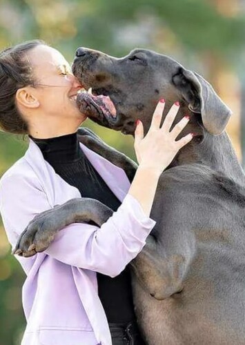 The Gentle Giant's Embrace