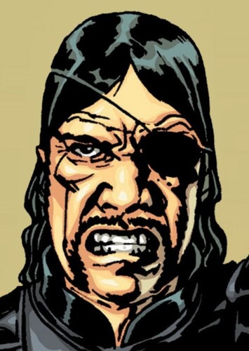 The Governor