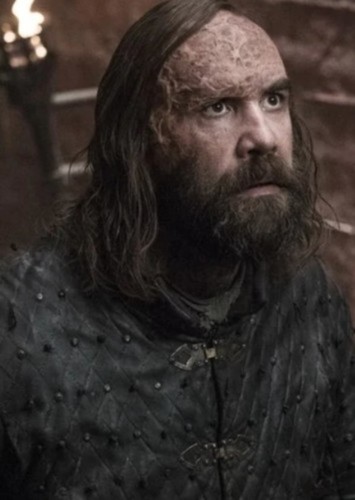 The Hound