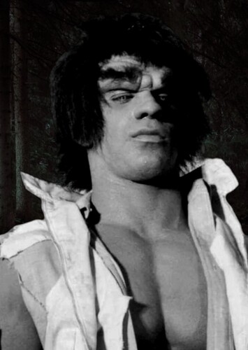 The Hulk (Grey Version) - The Incredible Hulk