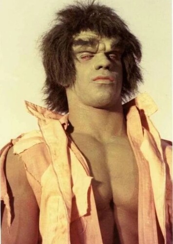 The Hulk - The Incredible Hulk - The Hulk's Voice