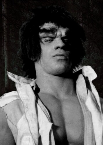 The Hulk - The Incredible Hulk (Grey Version)