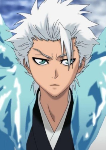 The Ice Ninja