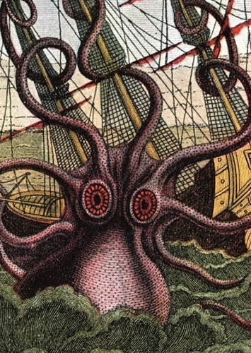 The Kraken