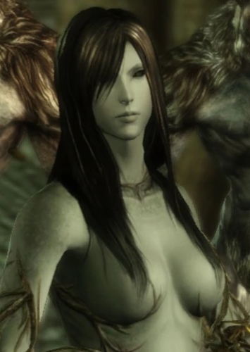 The Lady of the Forest