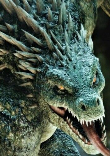 The Lizard