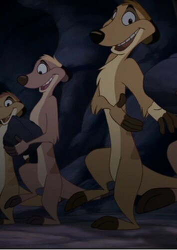 The Meerkats