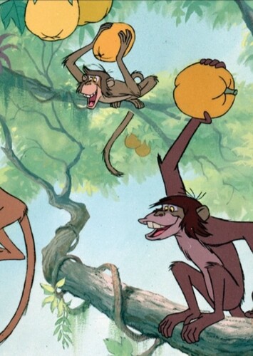 The Monkeys