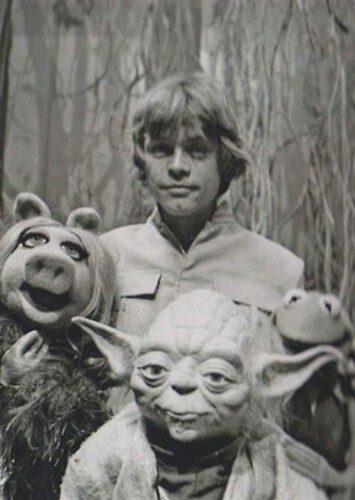 The Muppets in Dagobah