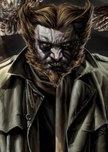 The Owl