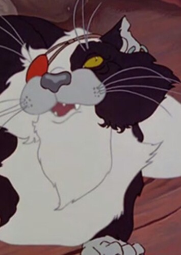 The Pirate Cat