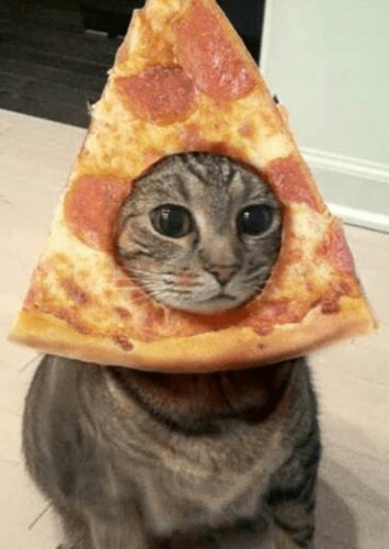 The Pizzer